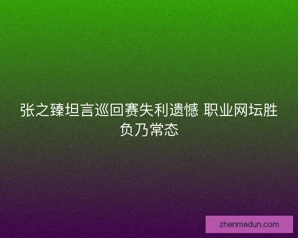 张之臻坦言巡回赛失利遗憾 职业网坛胜负乃常态